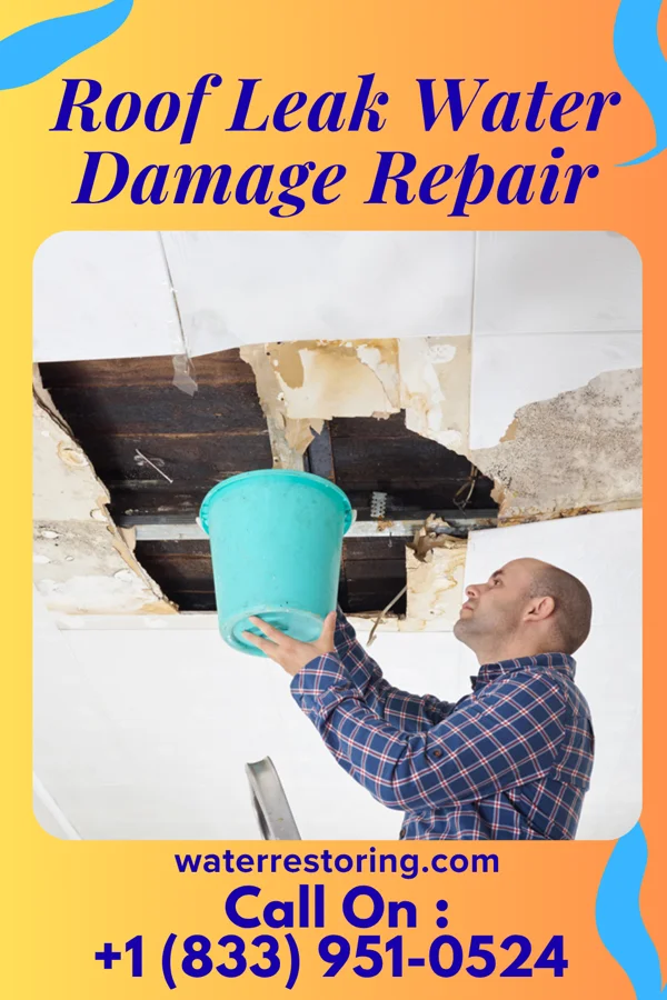 Roof Leak Water Damage Repair in Casselton, ND